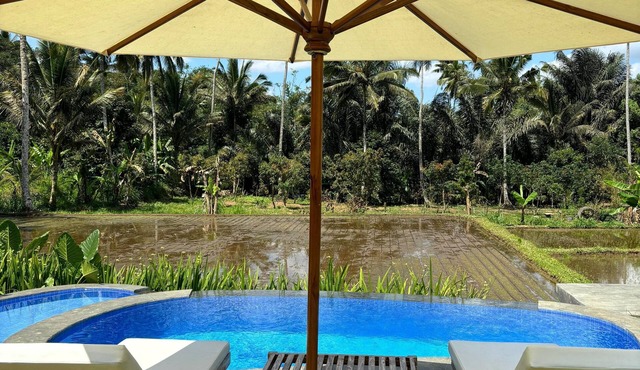 D'Pondok Sangaji Ricefield View by EPS