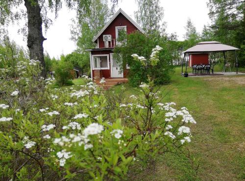 Dacha Juva