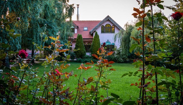 Daiconi Boutique House