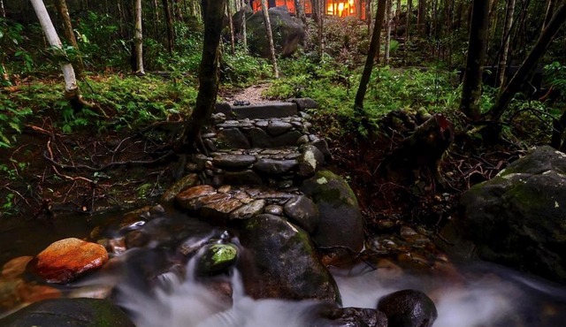 Daintree Cascades