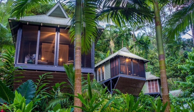 Daintree Ecolodge