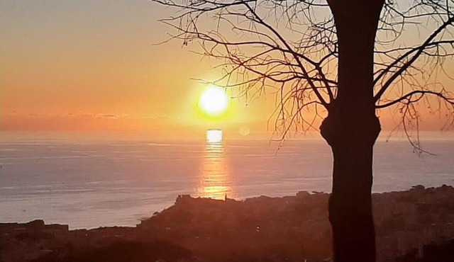 Dal Moro 44