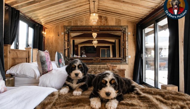 Dalbeattie Retreat Puppy Lounge, Games Room, Arcades