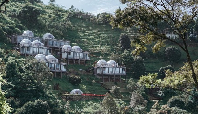 Damar Langit Resort