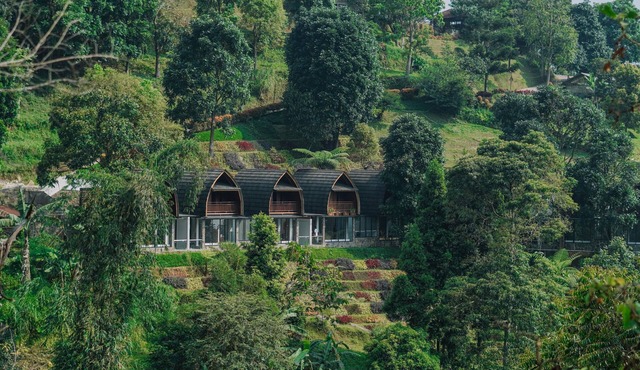 Damar Langit Resort