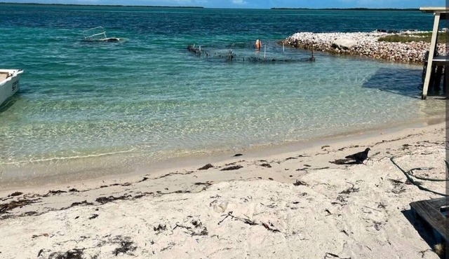 Dames Getaway Bimini