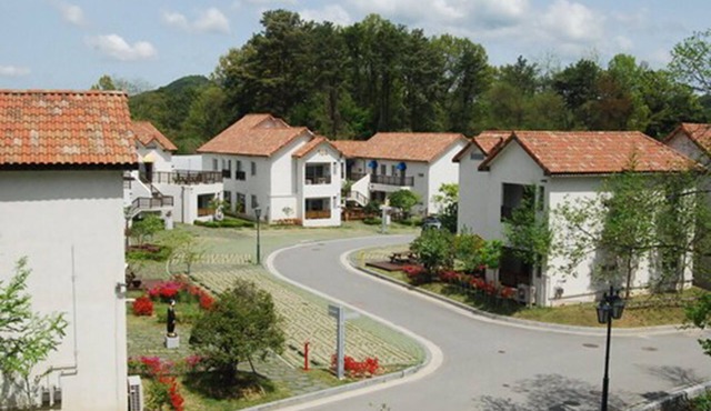 Damyang Meta Pension