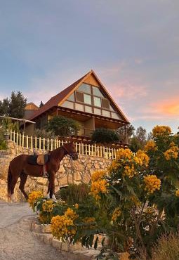 Dana luxury huts