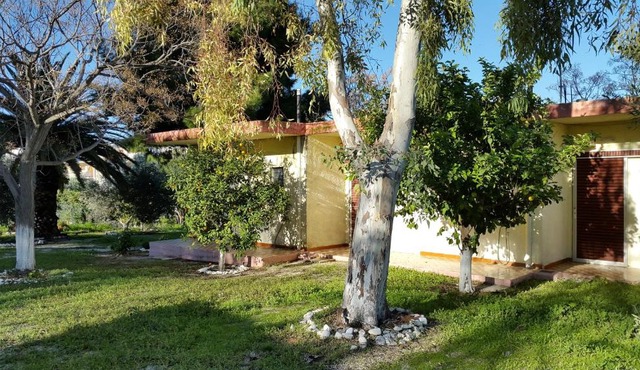 Danaides Bungalows