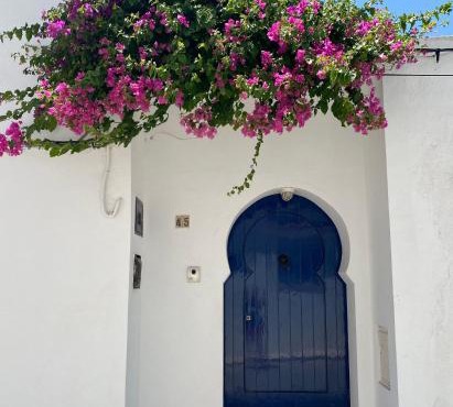 Dar Angi