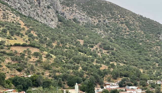 DAR LALA ZHOUR