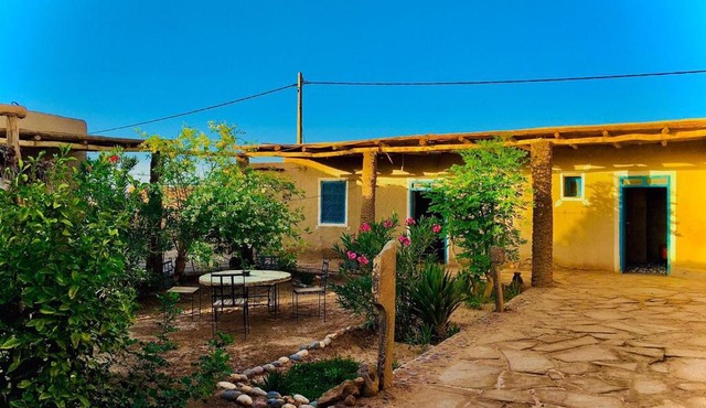 Dar Oasis Moringa