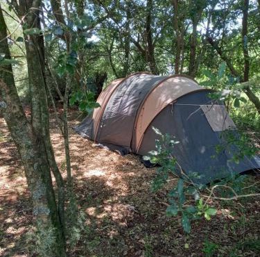 Dargle campsite