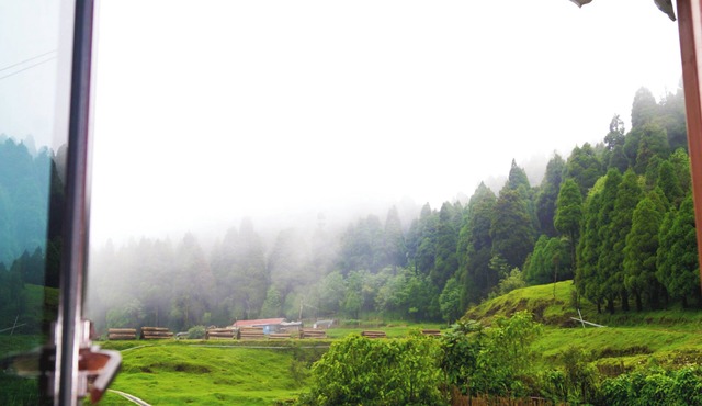 Darjeeling Peaceful Home in Ghoom Pine Forest with Wine & Dine