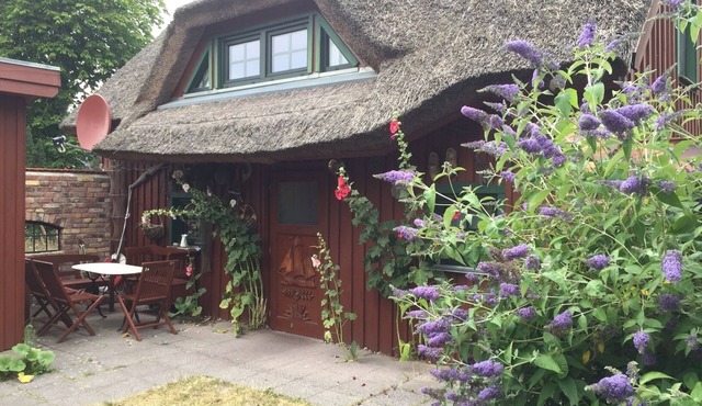 Darßer cottage with a thatched roof at a long-established Prerower family