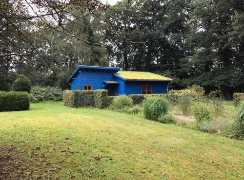 Das Blaue Haus