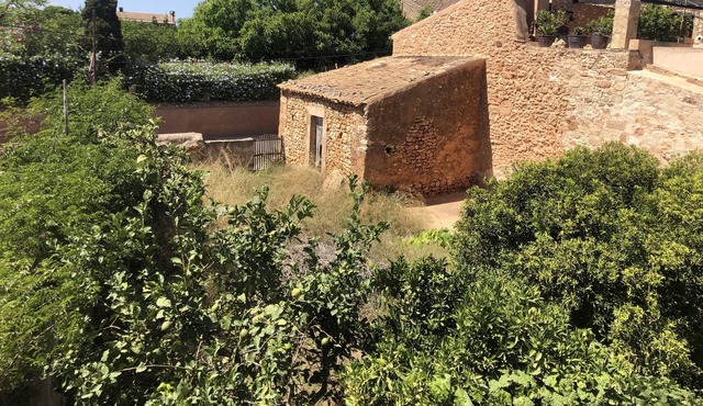 Das Echte Mallorca, Gemütliches Piso Inmitten Eines Authentischen Dorfes