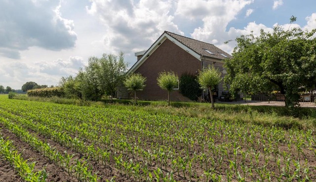 De Nieuwe Warande