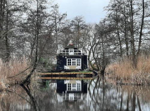De Roerdomp