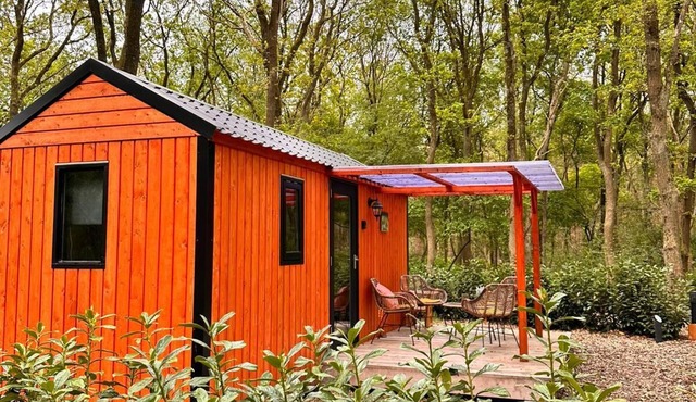 De Sluus in de Natuur