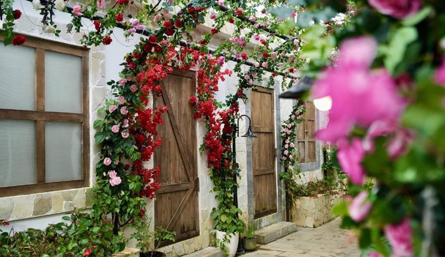 De Vivre Homestay Măng Đen