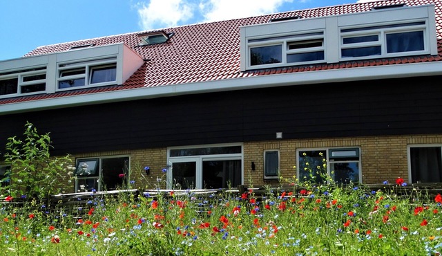 De Vlindertuin Ameland