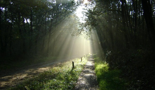 De Wapser Herberg