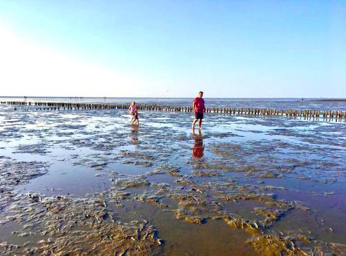 Deichoase Strandhaus