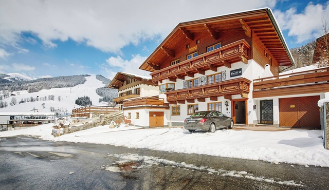 Delfi Ski & Bike Apartments