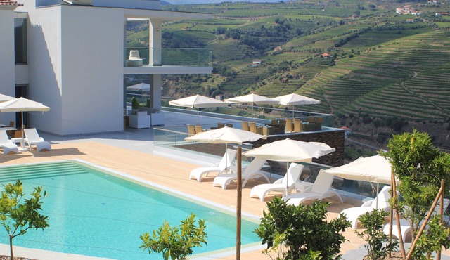 Delfim Douro Hotel