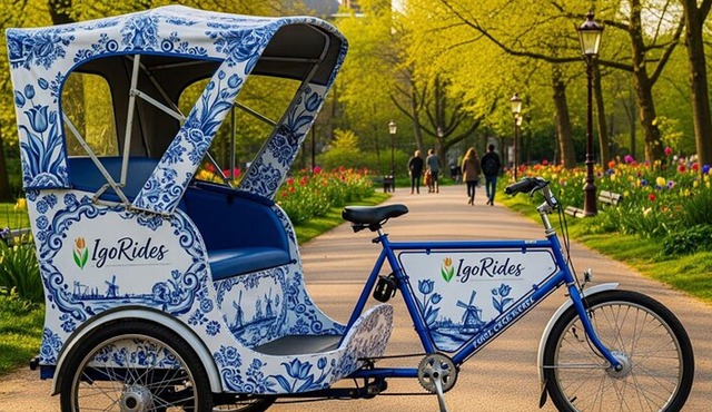 Delft Blue Rickshaw Tours: Eco Friendly Amsterdam Adventure