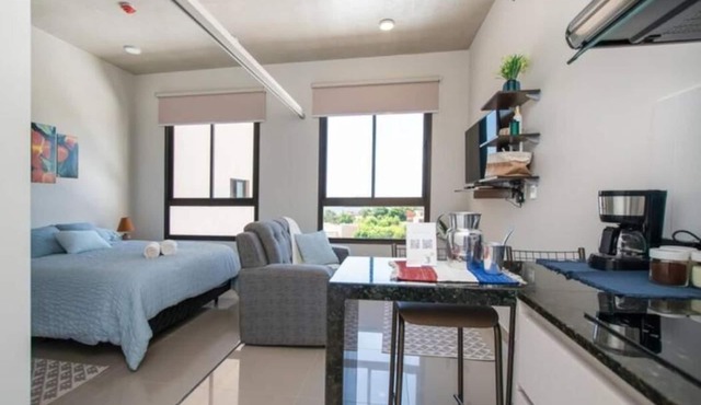 Delicado Monoambiente-comfy Studio