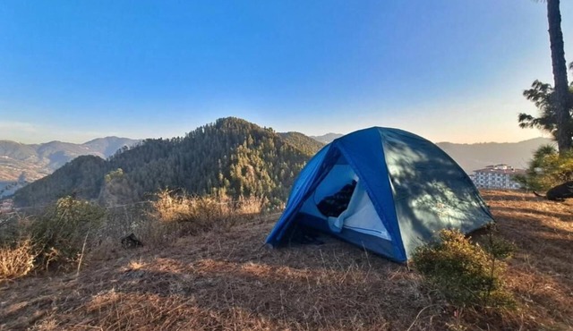 Delicate camp A