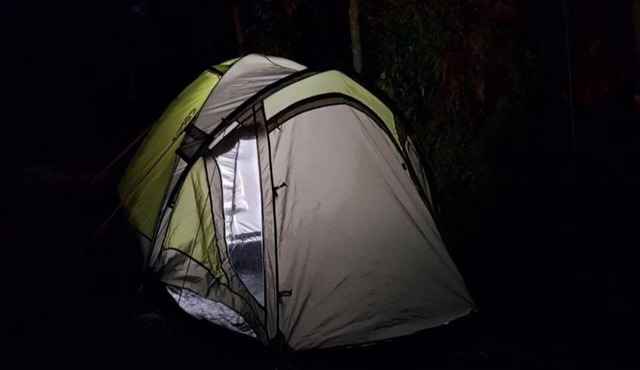Delicate camp C