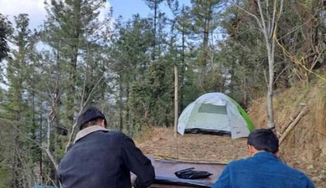 Delicate camp D
