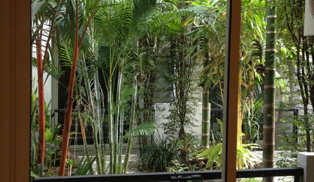 Delight Residence
