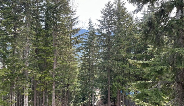 Delightful 4-bedroom Mountain Cabin in Snoqualmie Pass for your getaway.