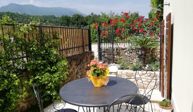 Delightful country flat among the vineyards