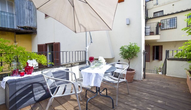 Delightful studio-FLAT with private terrace-Colosseum