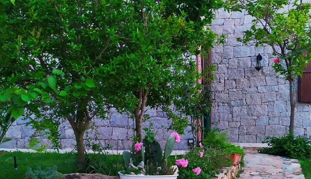 Delightful villa, 300 m from Calasinzias beach.