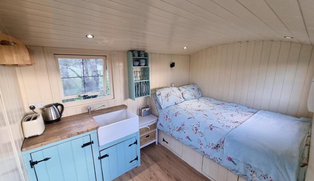 Delilah the shepherd's hut