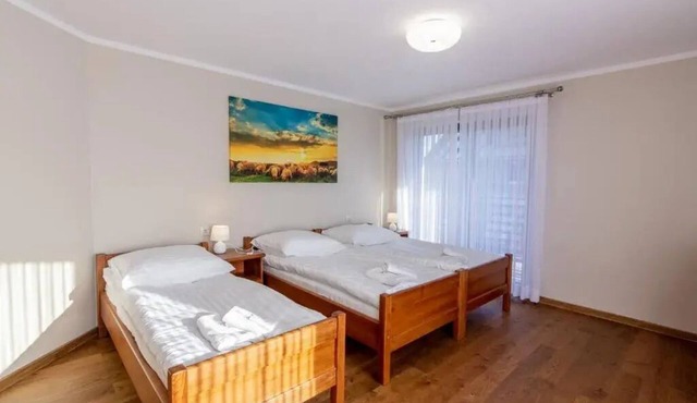 Deluxe Apartment