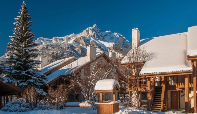 Deluxe, Bright, Spacious | Base of Tunnel Mountain