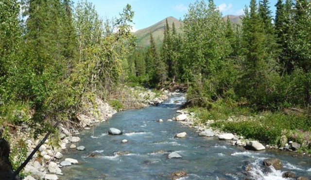 Denali Perch Resort