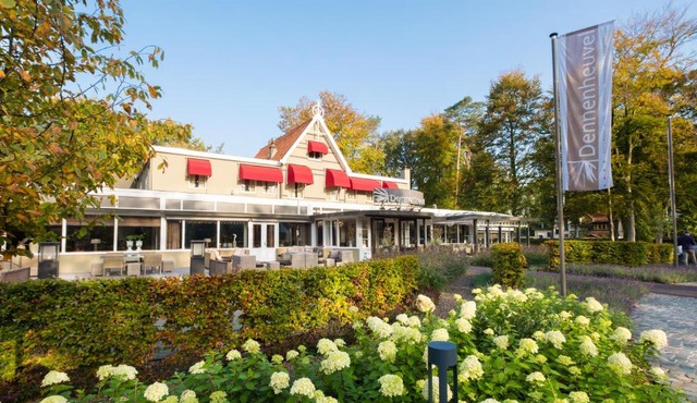 Dennenheuvel