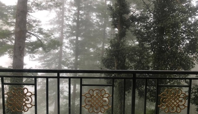 Deodar, A luxury retreat in Mashobra, Shimla, with a view
