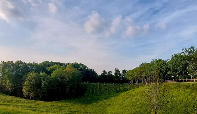 Dépendance at l'Eremo in the Prosecco hills