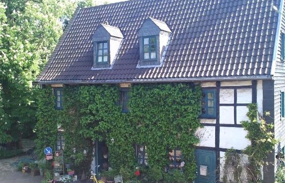 Der Birkenhof - Birch Court