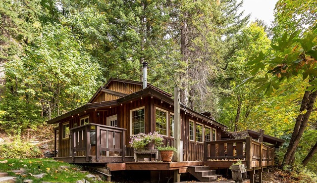 Der Tree Haus