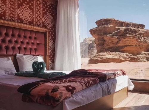 Desert guide camp